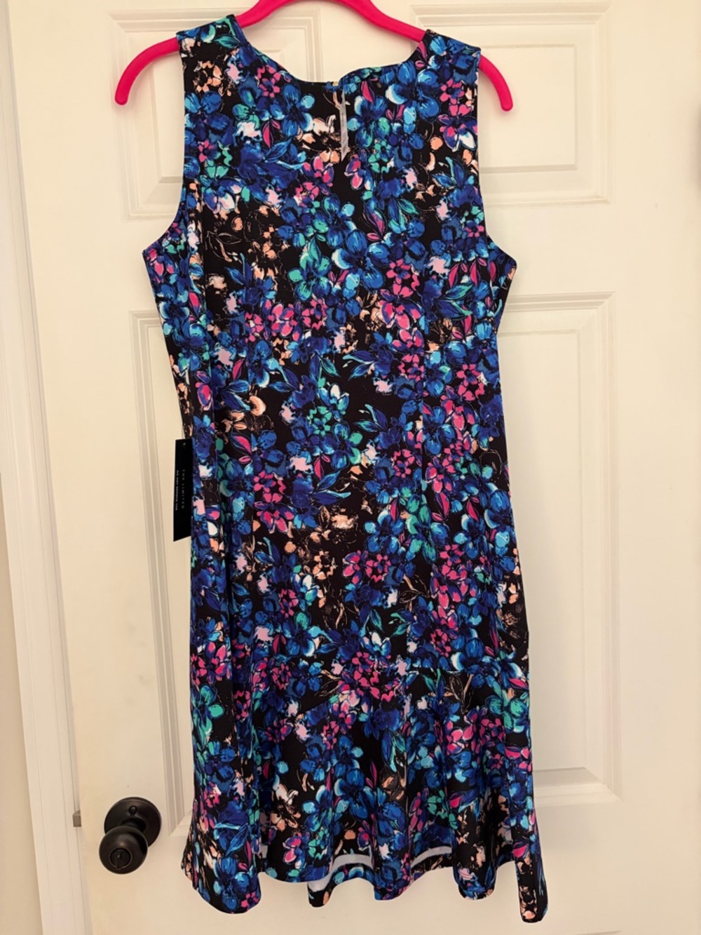 The Limited Black Floral Dress with Blue & Pink Accents